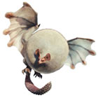 Paolumu