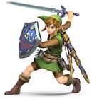 Link, Tunic of the Wild
