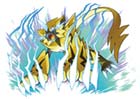 Zeraora's Powers