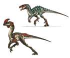 Neovenator and Raptor