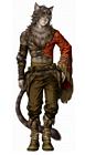 Male Felpurr