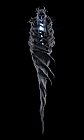 Crypt Larva