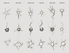 Glimpses Sketches