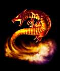 Fire Salamander