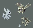 Moth