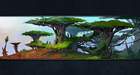Zandalari Jungle