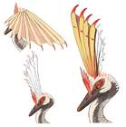 Aknosom Head Concept Art