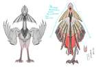 Aknosom Sketches