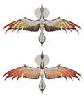 Aknosom Wings Concept Art