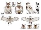 Cohoot Early Design