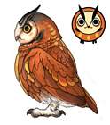 Cohoot Side Concept Art