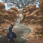 Exploring the Sandy Plains