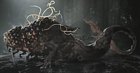 Mutated Moreau