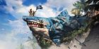 Shark Rock