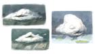 Cloud Designs