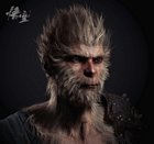 Sun Wukong Face