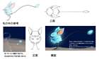 Sandstar Concept Art
