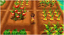 Story of Seasons: Trio of Towns Art & Characters Gallery